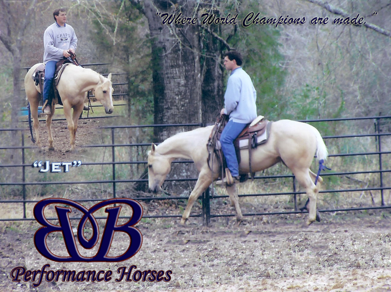 B & B Performance Horses