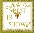 
     Graphic:Cassie_Awds2003.gif
    
          Shih Tzu
      BEST IN SHOW 
   �opyright 2003 CasinoCassie.com

  E-mail: Casino Cassie ~ Shih Tzu WebSite

Questions - Comments - Requests
