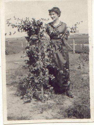 49.JPG (52821 bytes)