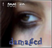 i am damaged