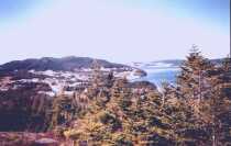 View from near Peter's House