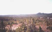 A view from the same spot as #4