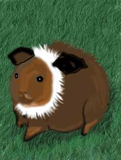 Loveheart drew this picture of Pig