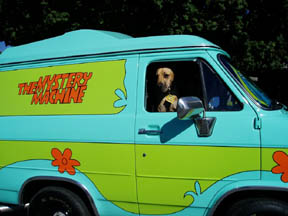 Copyright "The Chronicle" October 24th 2004 by Siusanne Nichols