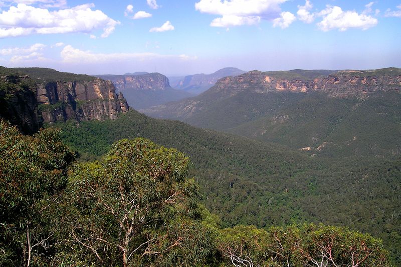 Blue Mts Pic