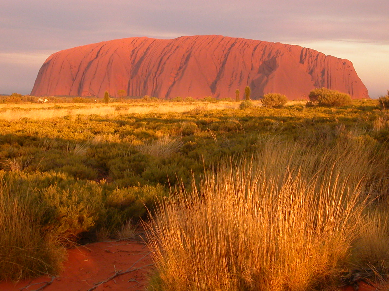 Uluru Pic 3