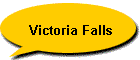 Victoria Falls