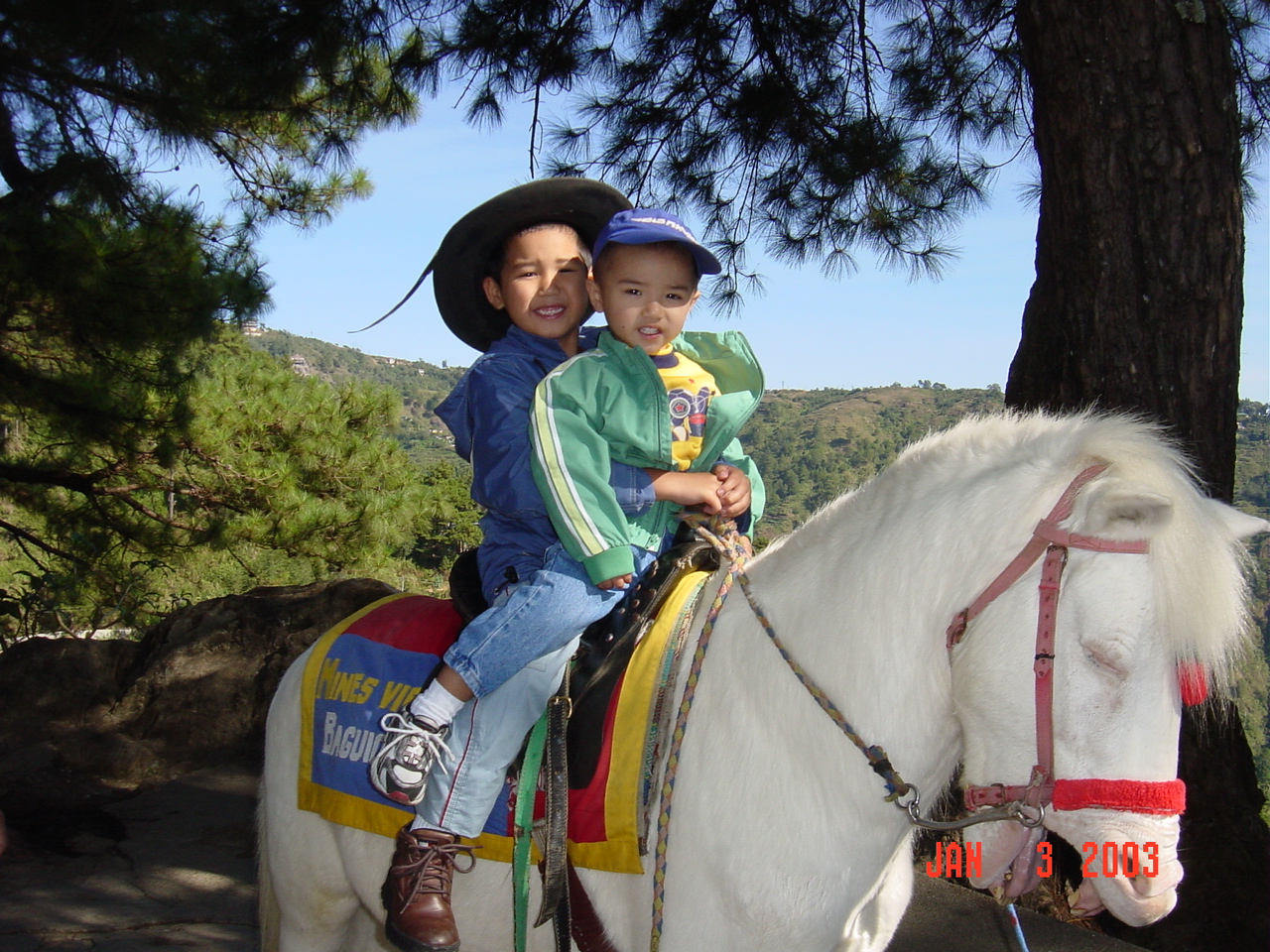 Copy_of_DSC01037.JPG (143616 bytes)