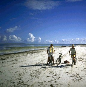 cycling on  the beach