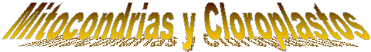 Mitocondrias y Cloroplastos