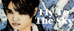 Fly To The Sky