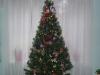 christmas tree on the 26th