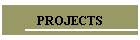 PROJECTS