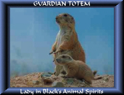 These are Cornflower and Baby Rollo, my prairie dogs.  They are named after a mouse and a bank vole in the book Mattimeo.  I got them at Guardian Totems, and you can click on them to go there.