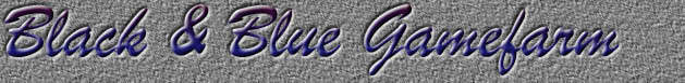 Black Blue Gamefarm