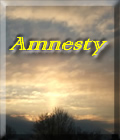 Amnesty