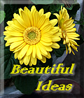 Beautiful Ideas