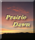 Prairie Dawn