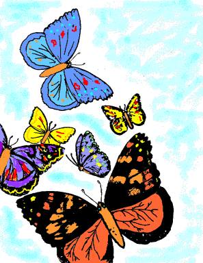 Butterflies