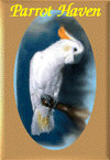PARROT HAVEN