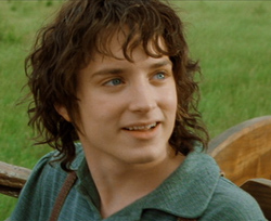 One of Frodo�s rare smiles...