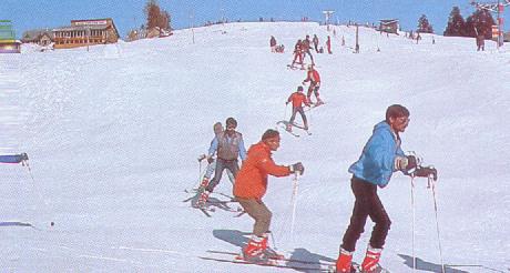 sking.jpg (24062 bytes)