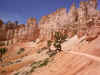 Bryce13 LB1.jpg (90601 bytes)