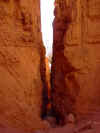 Bryce 7.jpg (115054 bytes)