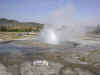 Yel 03 BB Jewel Geyser2.jpg (61277 bytes)