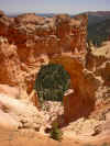 bryce15.jpg (156327 bytes)