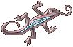 lizard