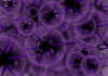 balck and purple bubbles