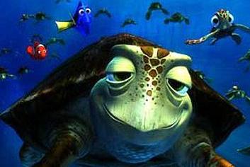 Ride shell dude! Ride shell dude!