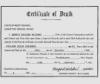 Robinson Death Cert.