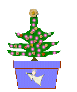 The Site Fights Growing Xmas Trees