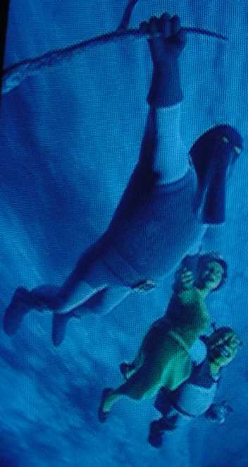 The newlyweds visit a waterfall during their honeymoon