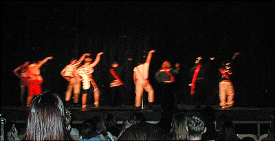 Click here to go to Mr. Mustang