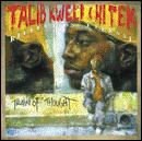 Talib Kweli and DJ Hi-Tek