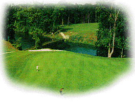 Leo Enterprises Program #1 Tidewater area service plan