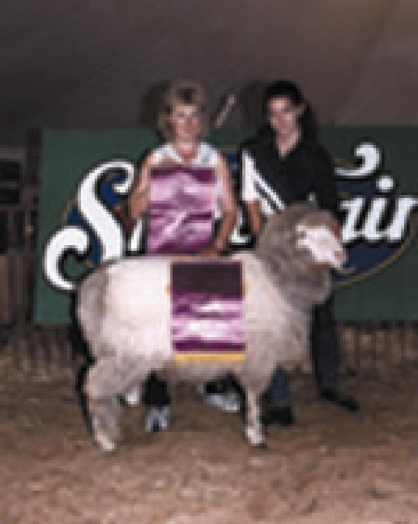 Supreme Champion Fleece and Premier Exhibitor - North Carolina State Fair 2000