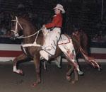 Champion Parade Horse - Virginia State Fair 1986