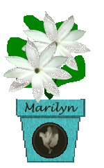 The Site Fights Spirit Flowers