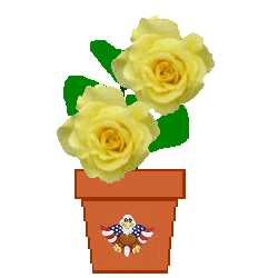 The Site Fights Spirit Flowers