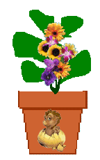 The Site Fights Spirit Flowers