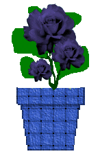 The Site Fights Spirit Flowers