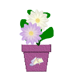 The Site Fights Spirit Flowers