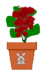 The Site Fights Spirit Flowers