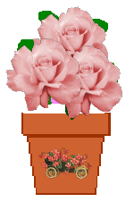 The Site Fights Spirit Flowers