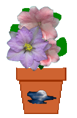 The Site Fights Spirit Flowers