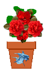 The Site Fights Spirit Flowers